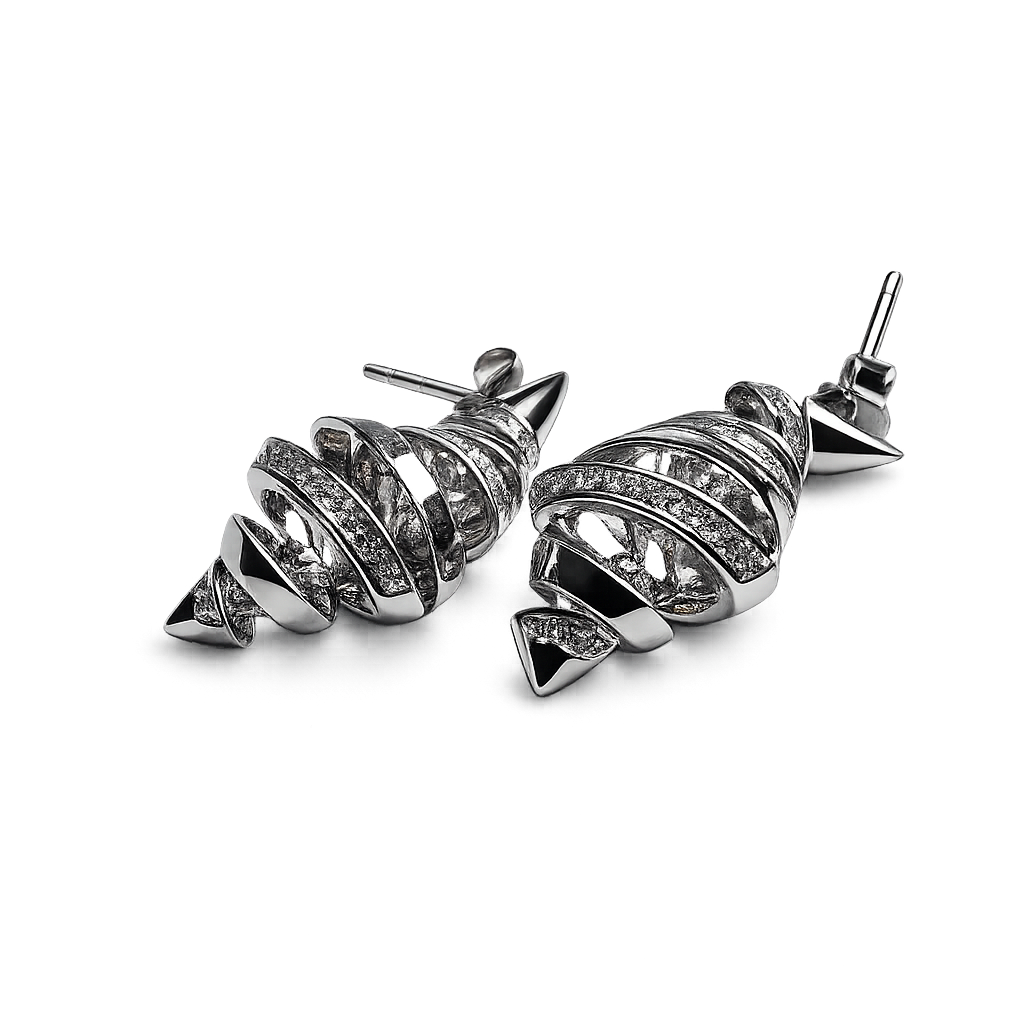 Loop Me In 925 Silver Earrings